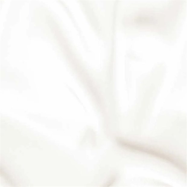 Панель ПВХ (509/1) нежность фон 2,7x0,25x0,008 м И7244