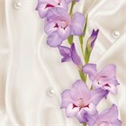 Панель ПВХ (620) 2,7x0,25x0,008 м И5256